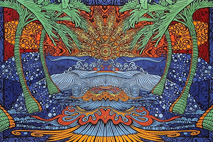 Top 5 Tapestry Styles to Decorate Your New Room With  by Cool & Weird Stuff  Medium