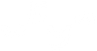 Align on This