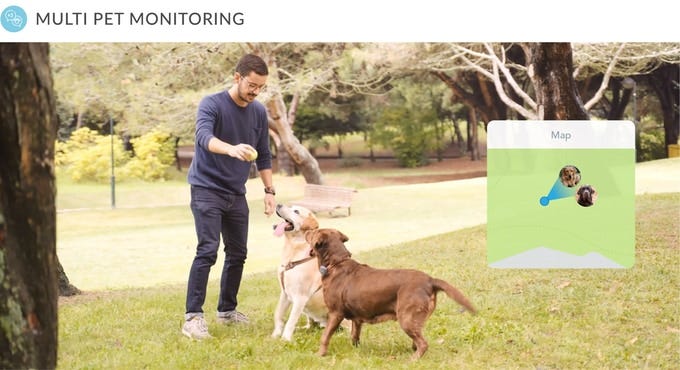 dog gps tracker no monthly fee