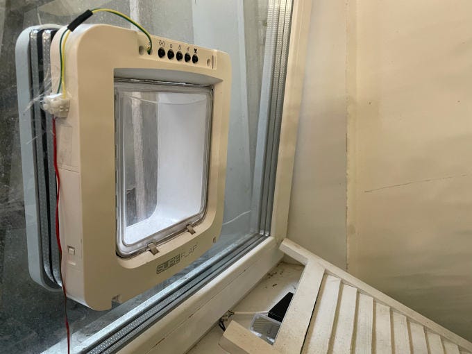 cat flap mouse recognition