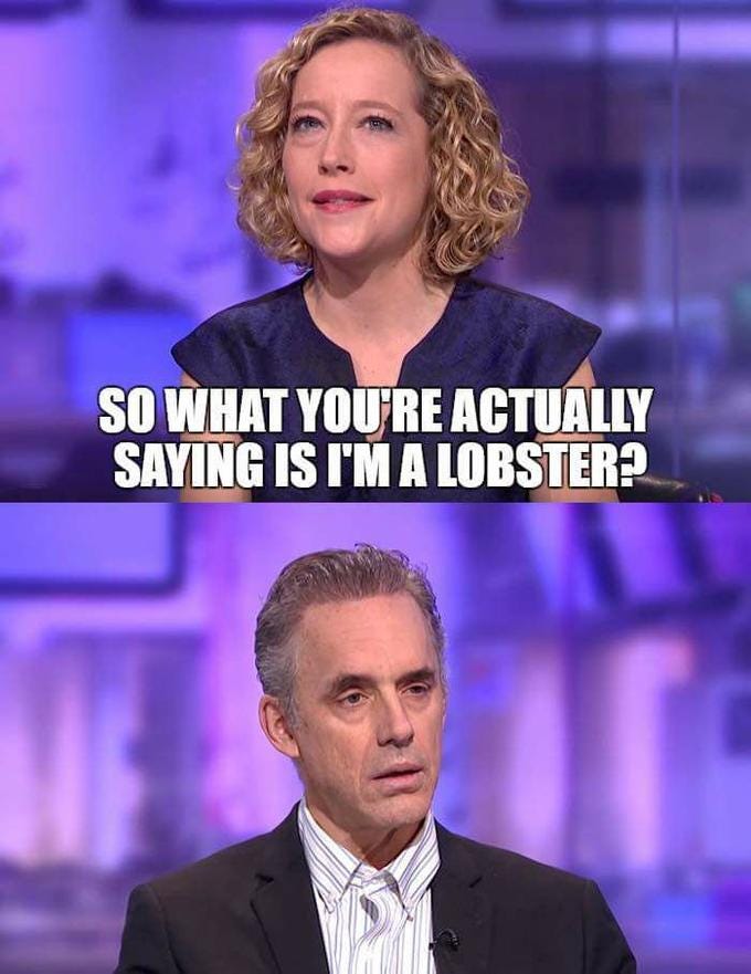 25 Memes That Sum Up Jordan Peterson vs. Cathy Newman | by Stian Pedersen |  Medium