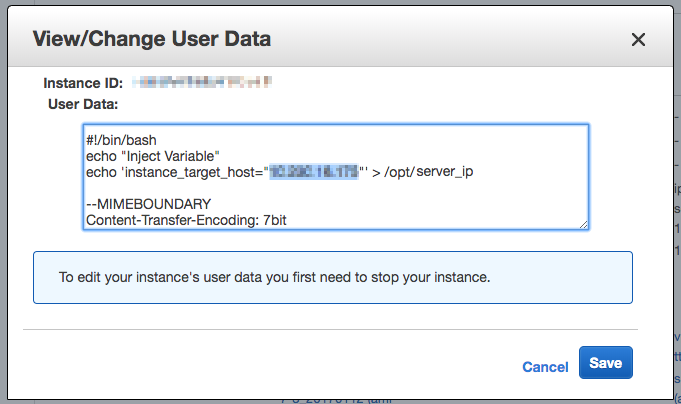 Passing Terraform Attributes to User Data During EC2 Creation | by Shumnan  Sun | Ascend Developers