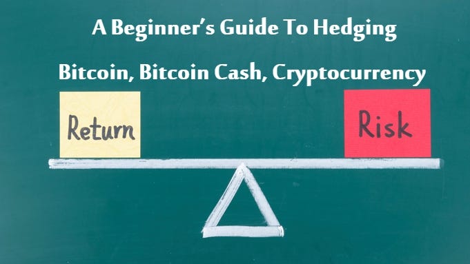 A Beginner S Guide To Hedging Bitcoin Bitcoin Cash Cryptocurrency - 