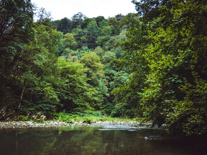A mountain river stream in a tropical rainy forest