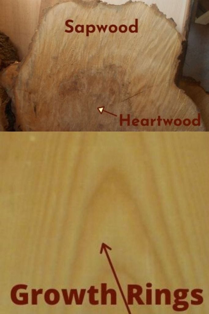 You Think You Know Your Wood The Ultimate Guide To Identifying Wood Types In Furniture By K Ray Custom Refinish Medium