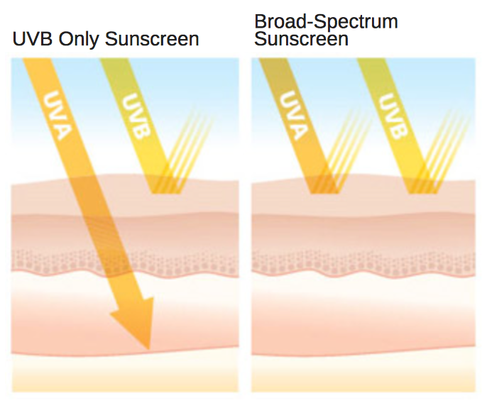 uva and uvb sunscreen