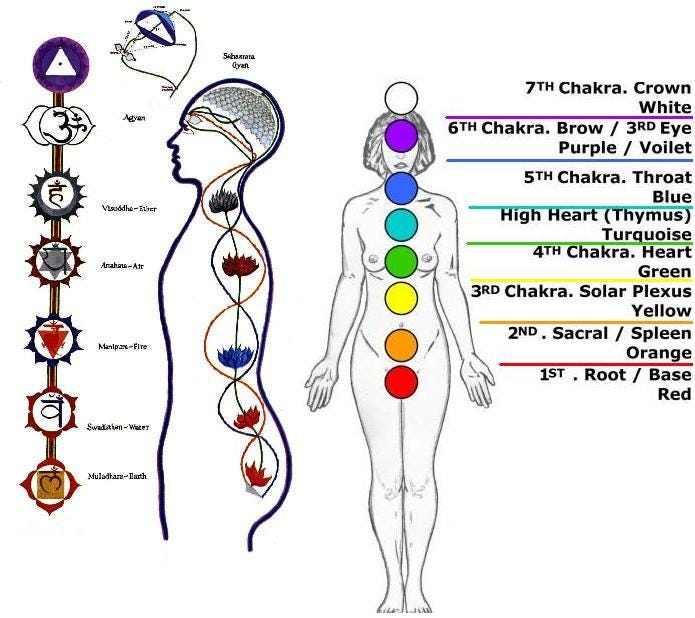 7 Chakras Of Human Body The Word Chakra Has Its Origin From The By 