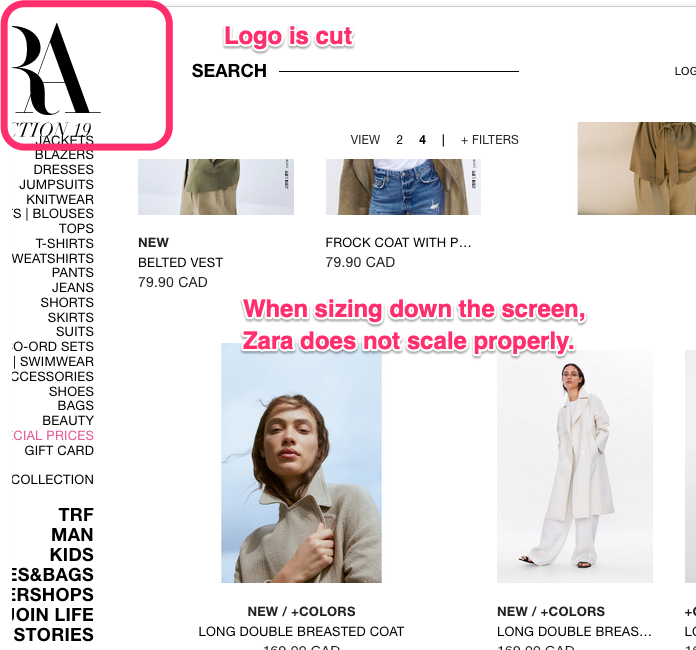 zara online website