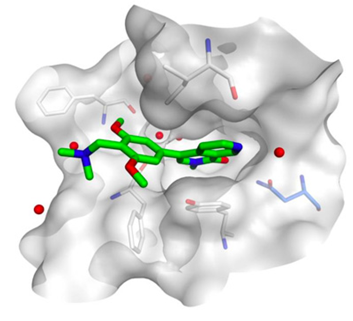 Drug Discovery with Deep Learning. Under 10 Lines of Codes. by Kexin Huang Towards Data Science