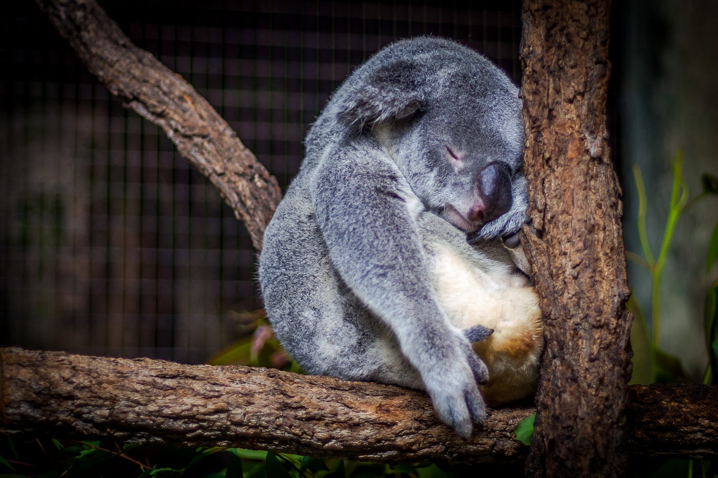 How to Efficiently Work with Pandas and S3 | by Simon Hawe | Towards Data  Science