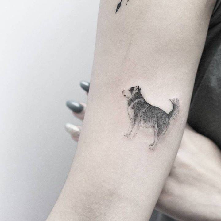 Tattoo Styles: Single Needle | by Tattoofilter | tattoos | Medium