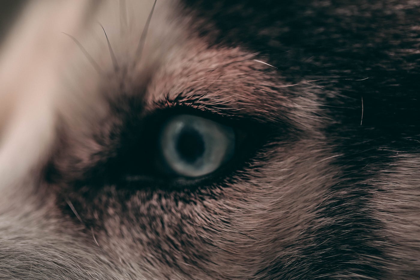 5 things you should know about the “Evil Eye” (and how to protect  yourself). | by Forte Academy | Forte Academy | Medium