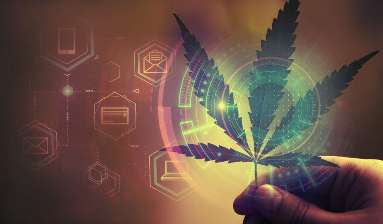 Tokenizing Asia’s Emerging Cannabis Industry | By Sonata Capital ...