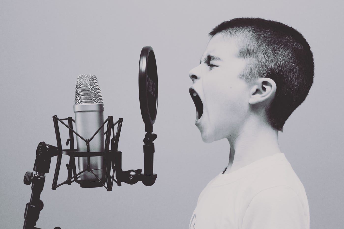 A Primer for Generative Voice Models | by Ian Rowan | Towards Data Science