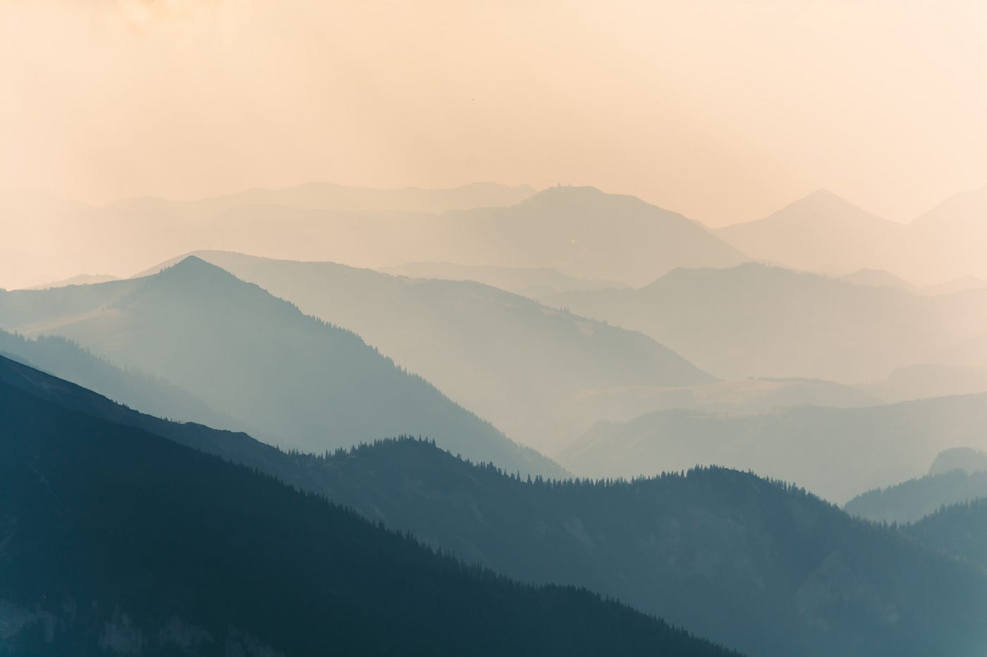 Handling Props in Vue 3 Composition API | by John Philip | Level Up Coding