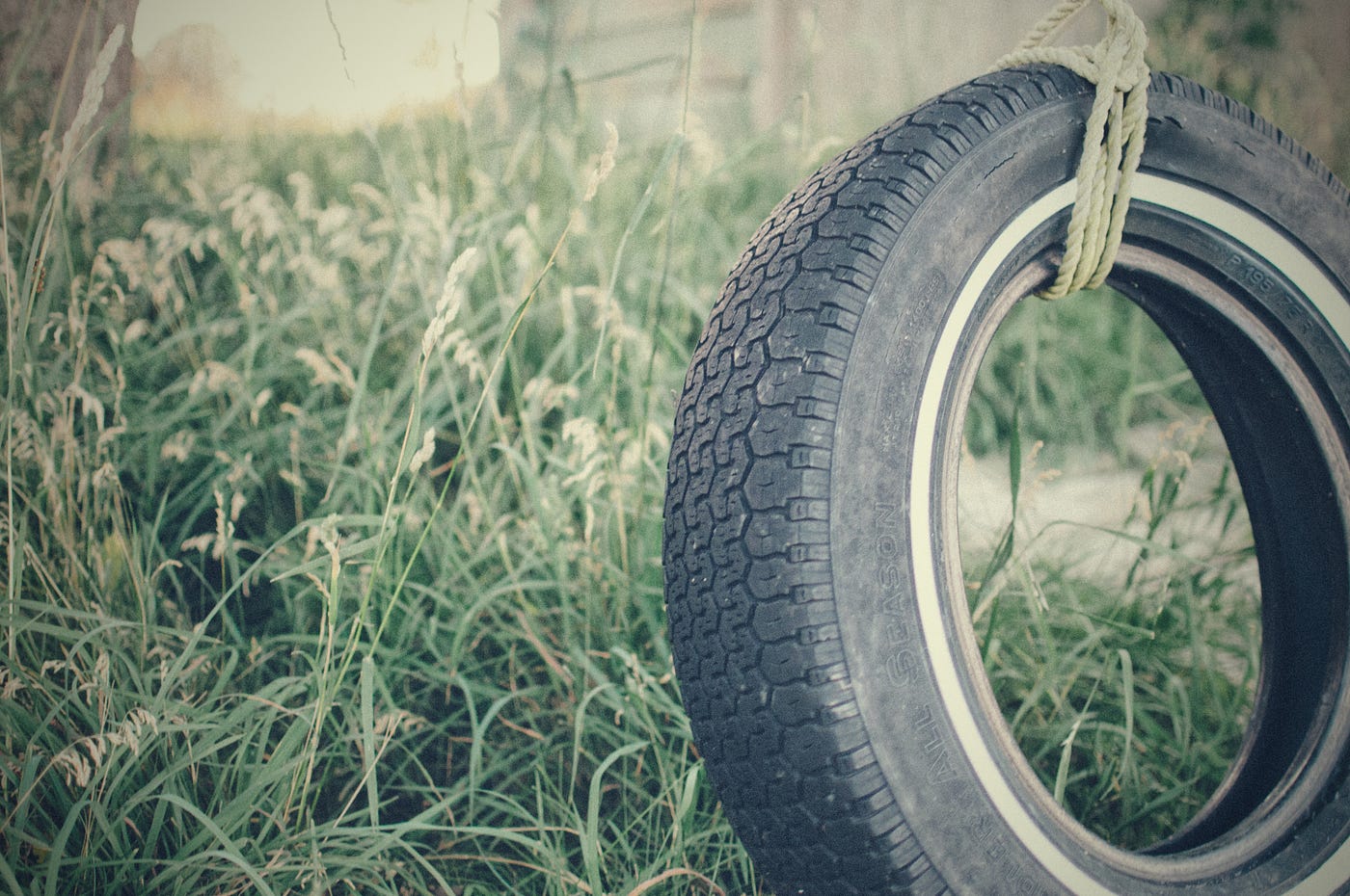 Tire Swing. Day 4 of NaPoWrimo: poem about a dream… | by E | The ...