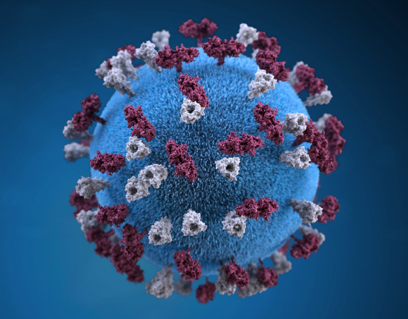 COVID-19 virus particle (illustration). The sphere is blue, with the small extending appendages white and dark red, respectively.