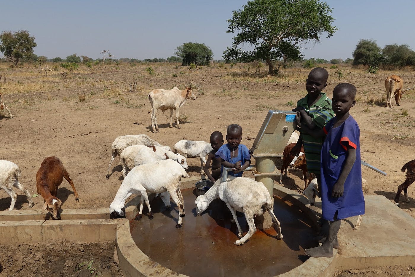Children at the Rainmaker well in Tonj, South Sudan.