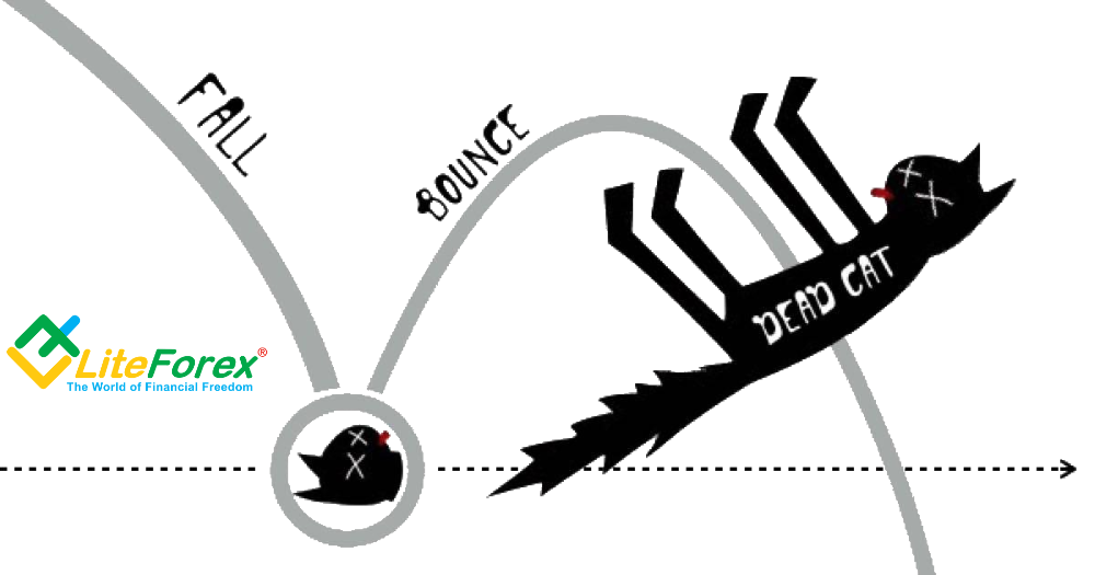Where Did Forex Slang Come From Liteforex Traders Blog Www - 