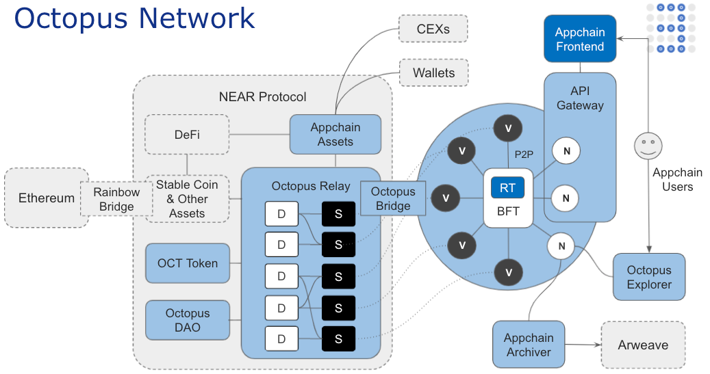 octopus network