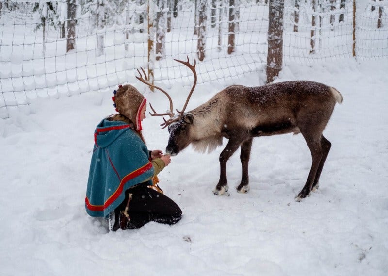 What Does SISU Mean SISU The Finnish Art Of Courage By By Sheetal