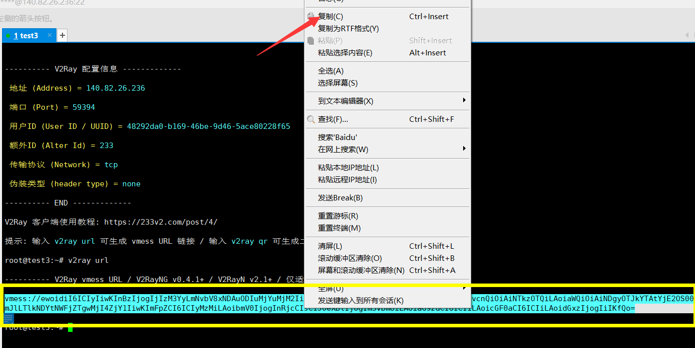 搬瓦工搭建VPN教程-VPS搭建VPN-V2Ray