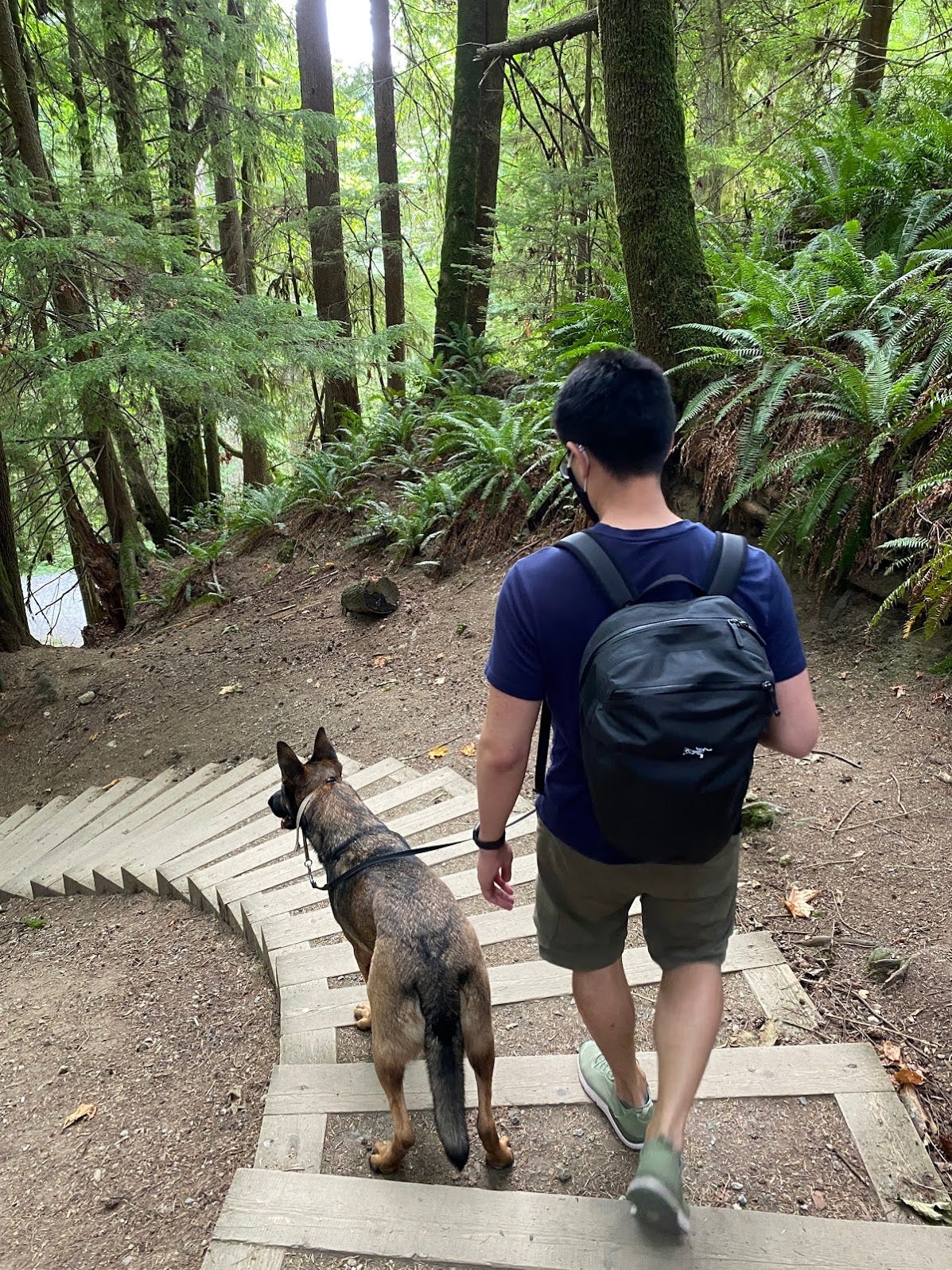 Arc'teryx Granville Zip 16 Review | by HL | Pangolins with Packs Arc'teryx Granville Zip 16 Review | by HL | Pangolins with Packs