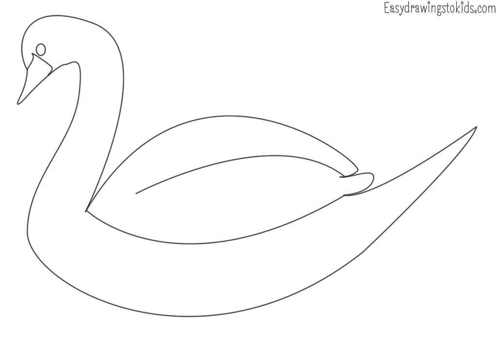 Top 21 Birds Drawings with their names (Birds coloring pages) by Artist Mind Medium