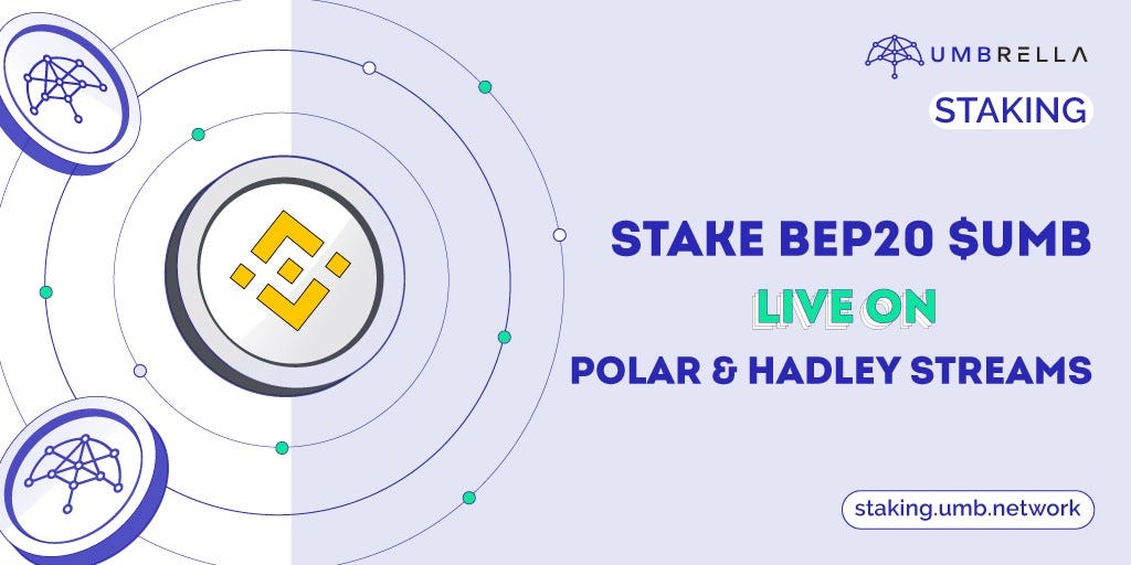 Umbrella Network Monthly Recap December by Umbrella Marketing Team