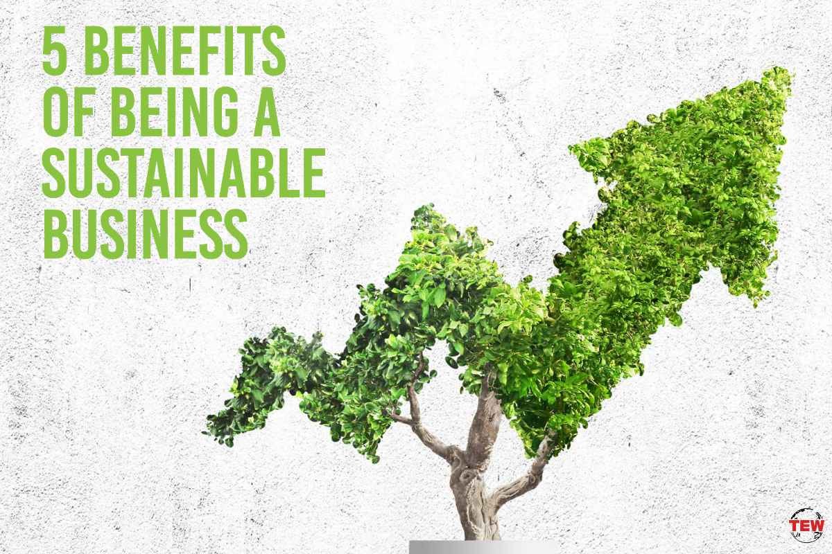 5 benefits of being a sustainable business | by The Enterprise World ...