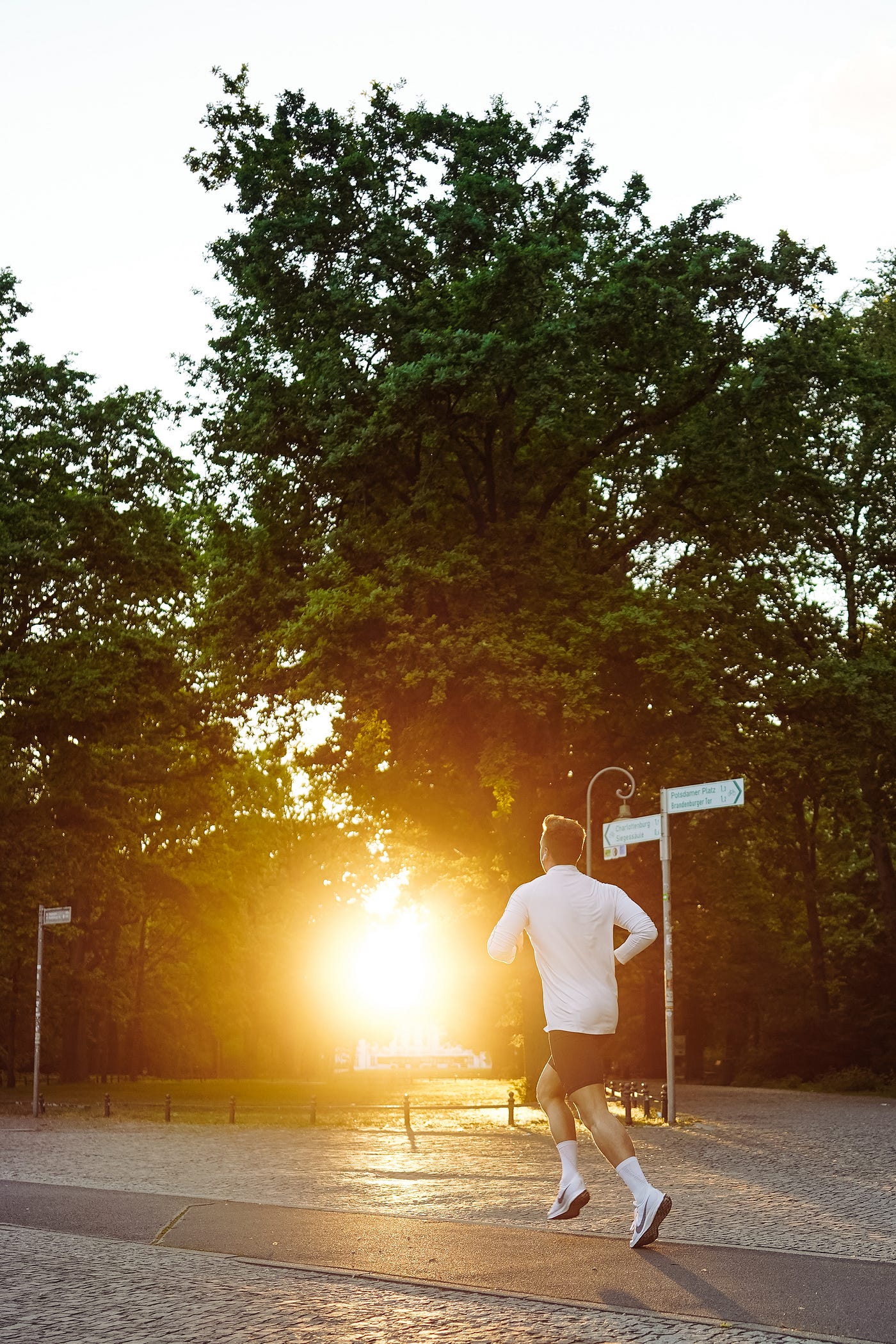 Man on left of screen runs in the woods. The sun appears low in the sky in the distance ahead of him.