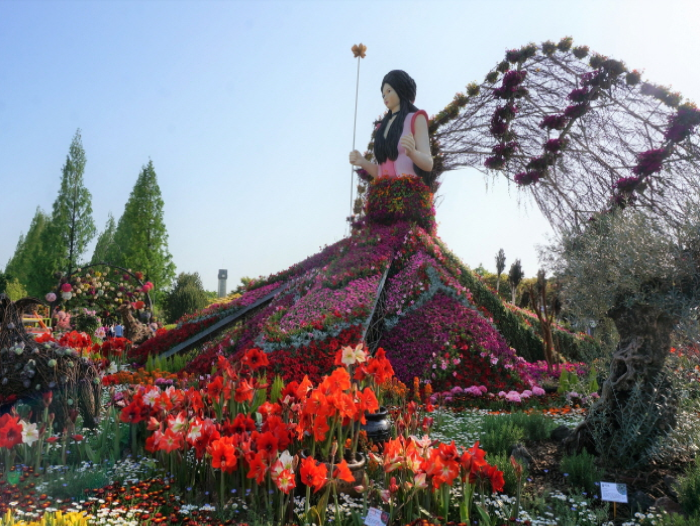 Spring Festivals In South Korea Flower Festival By Iris My Life Story In South Korea And Not Only Medium