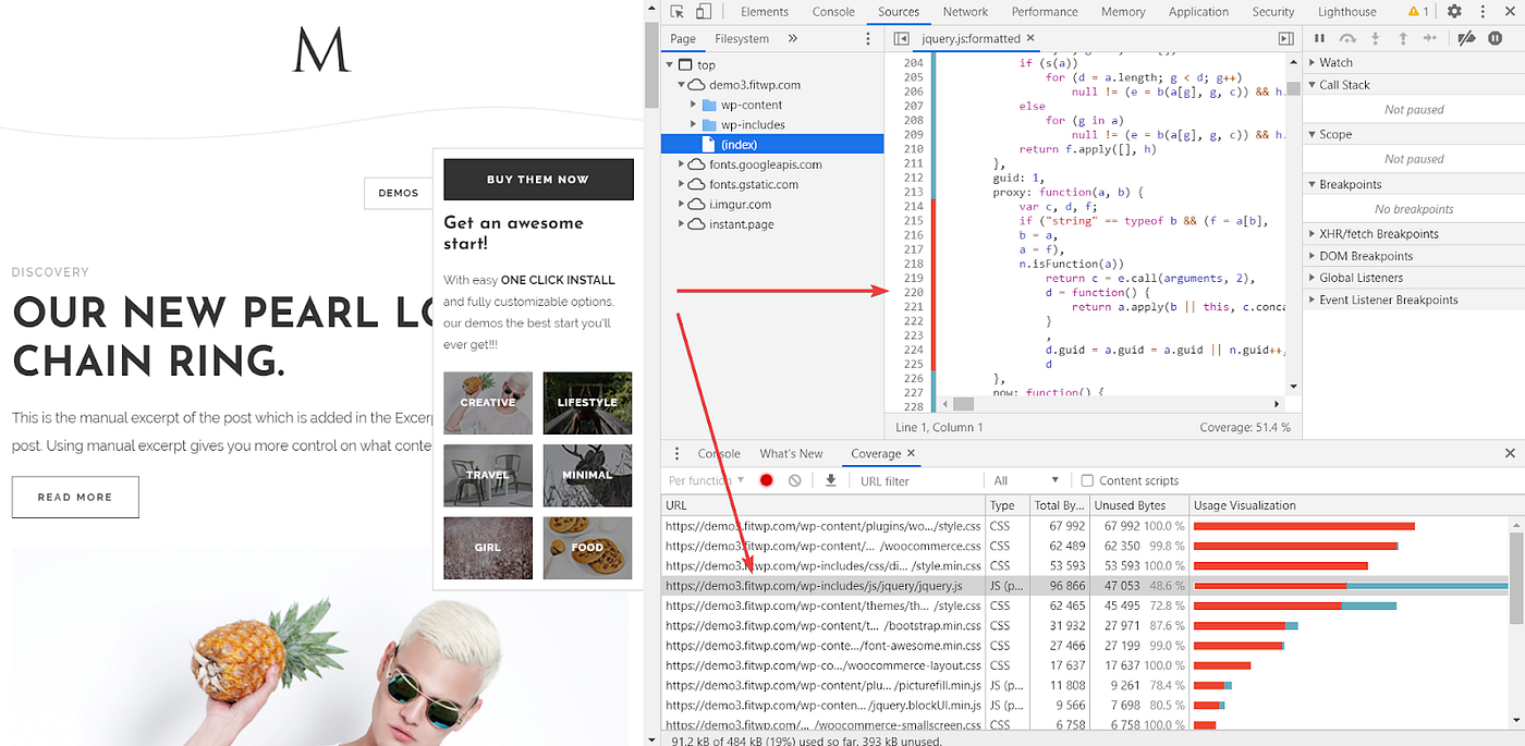 How to Remove Unused CSS and JavaScript Files in WordPress by Janessa