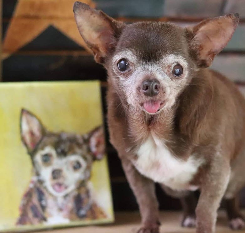 Tongue Forever The Story of Mama Nutmeg by Andrew Zangre Medium