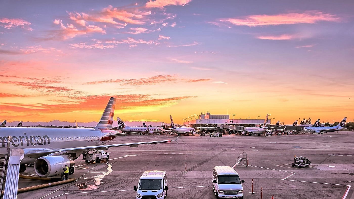 Emotional Support Animal (ESA) Airline Policy — American Airlines