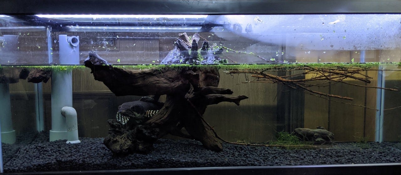 90cm水槽 スリム水槽 ガラス水槽 オーバーフロー水槽 Cna Gob Bo