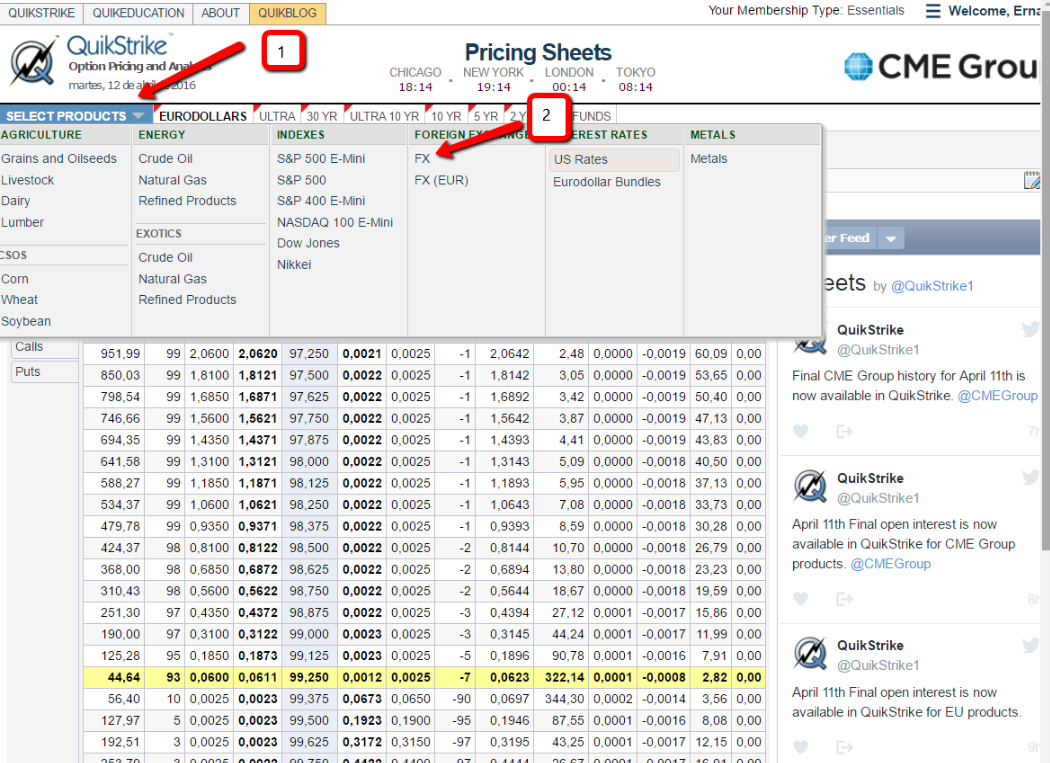 Educational Guide How To Define Your Bias Thru Forex Options - 