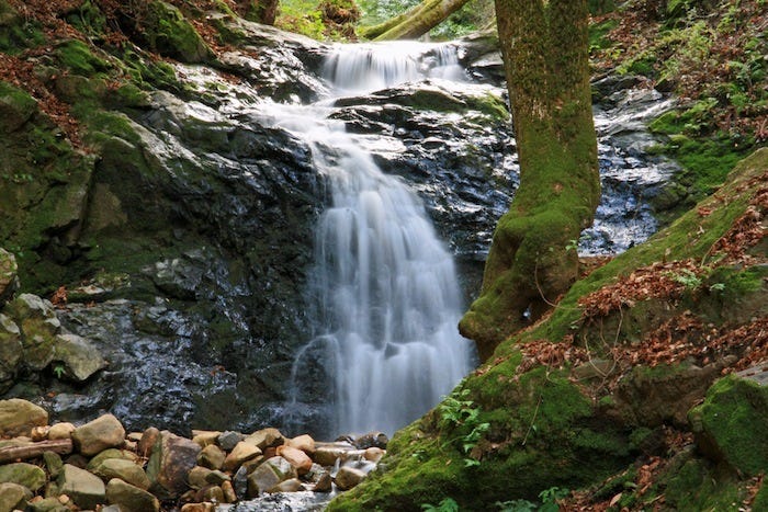 Here Are 8 Swimming Holes To Get You Pumped For Summer The