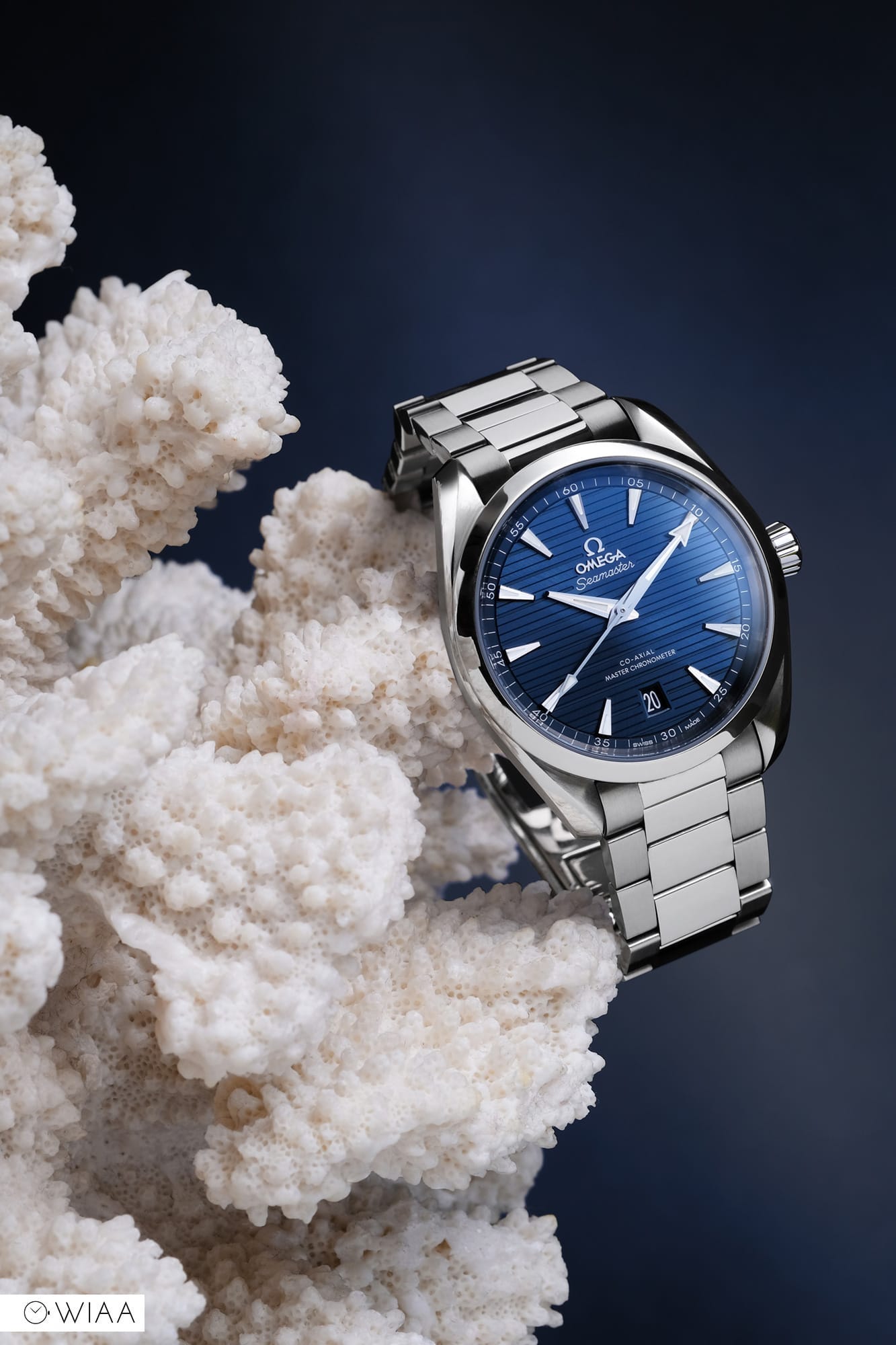 Omega Seamaster Aqua Terra 38mm Watch 