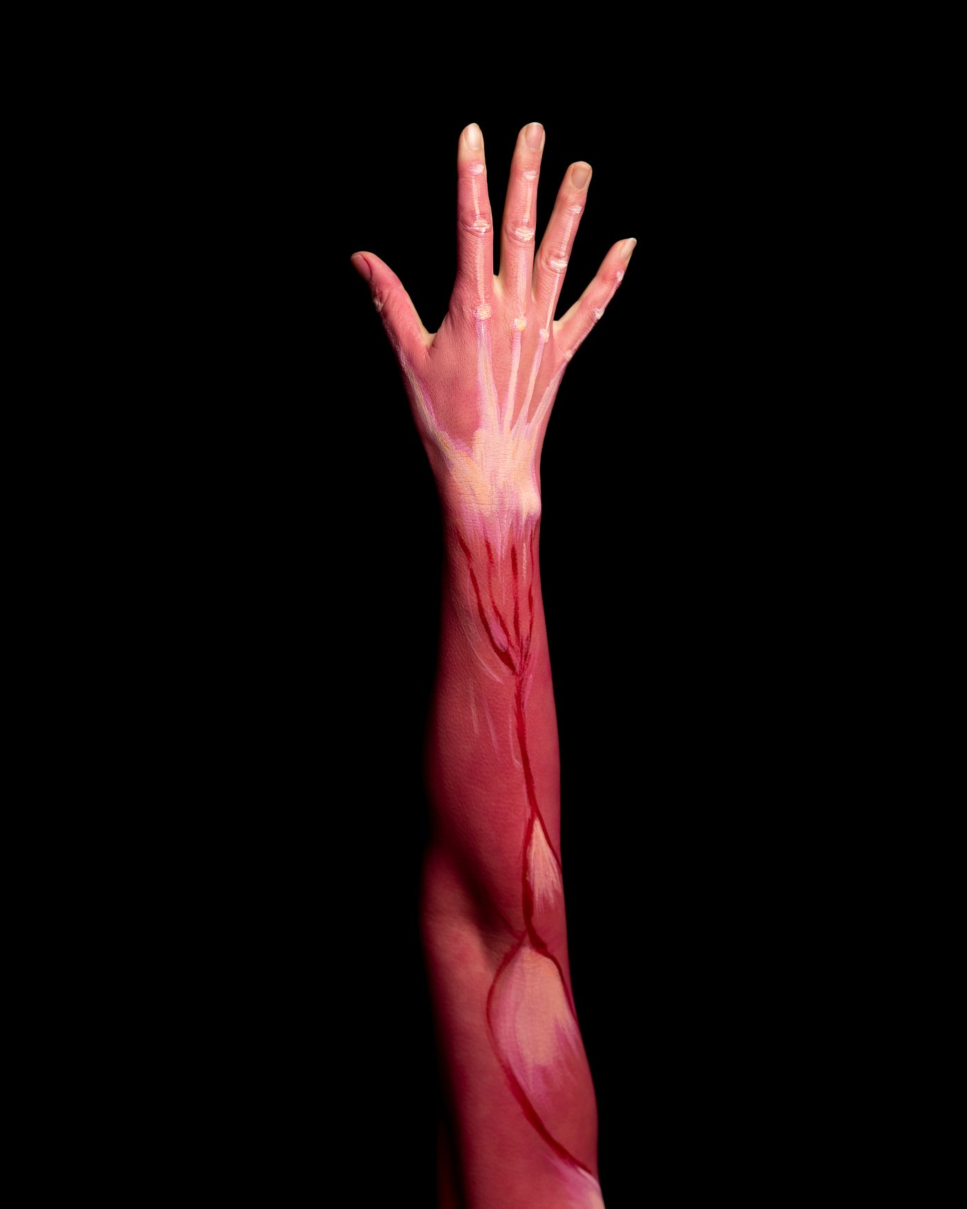 A model of an arm extends up from the bottom of the screen. We only see muscles and veins. The fingers are outstretched. There is a black background. Stiff-person syndrome involves muscle stiffness and spasm.