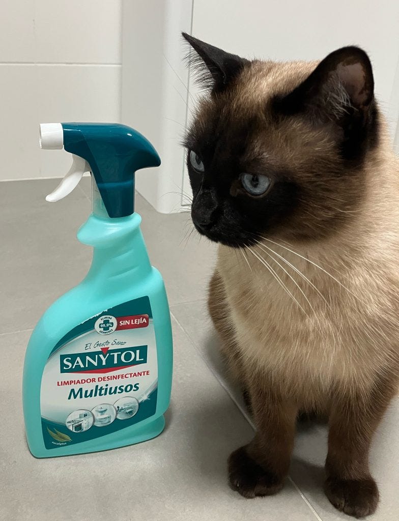 Indispensables y recomendaciones en la limpieza del hogar con gatos y  perros | by Verónica Valls | gorogoro: purr & roll! | Medium