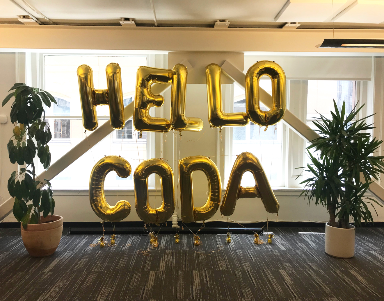 Hello Coda balloons