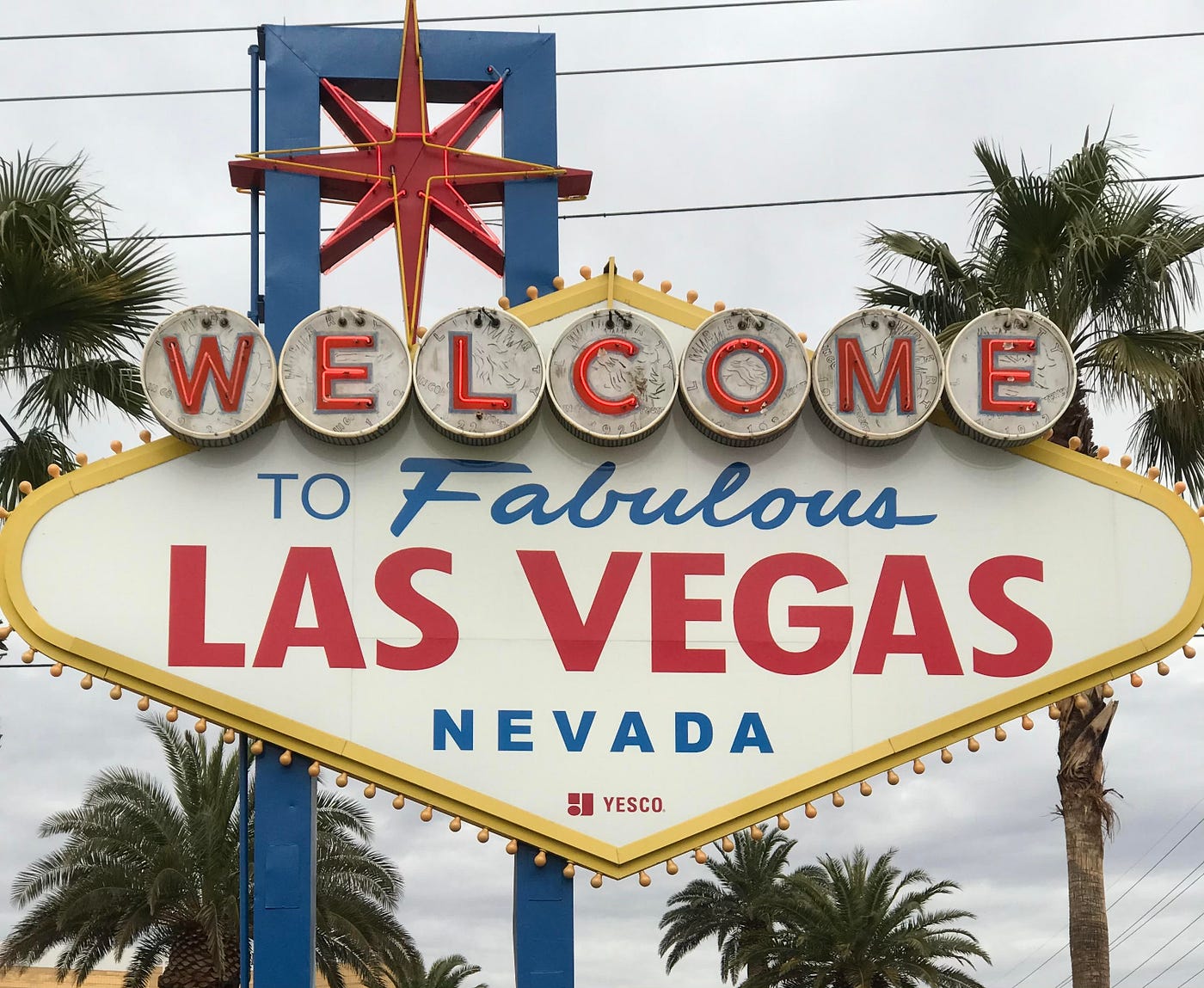 You Might Be Living in One of the Dumbest States | by Markie Young | Medium