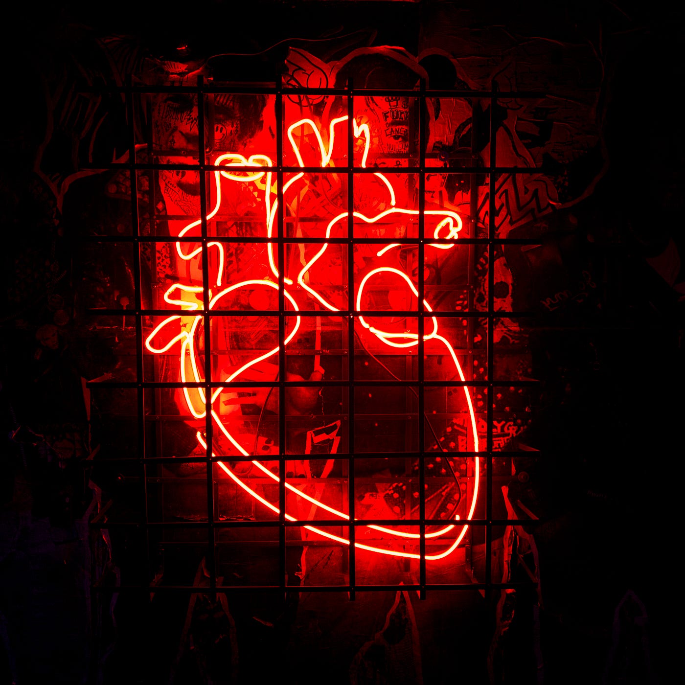 Neon light portrayal of an anatomic heart.