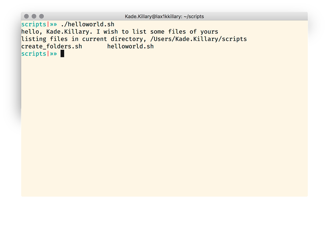 A Home For Your Bash Scripts. Bash scripting has always been on my ...