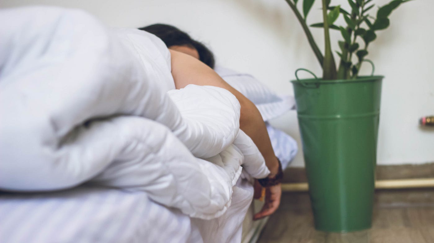 Person hangs over the right side of their bed while sleeping. A Plant perches to the right (in a green vase).