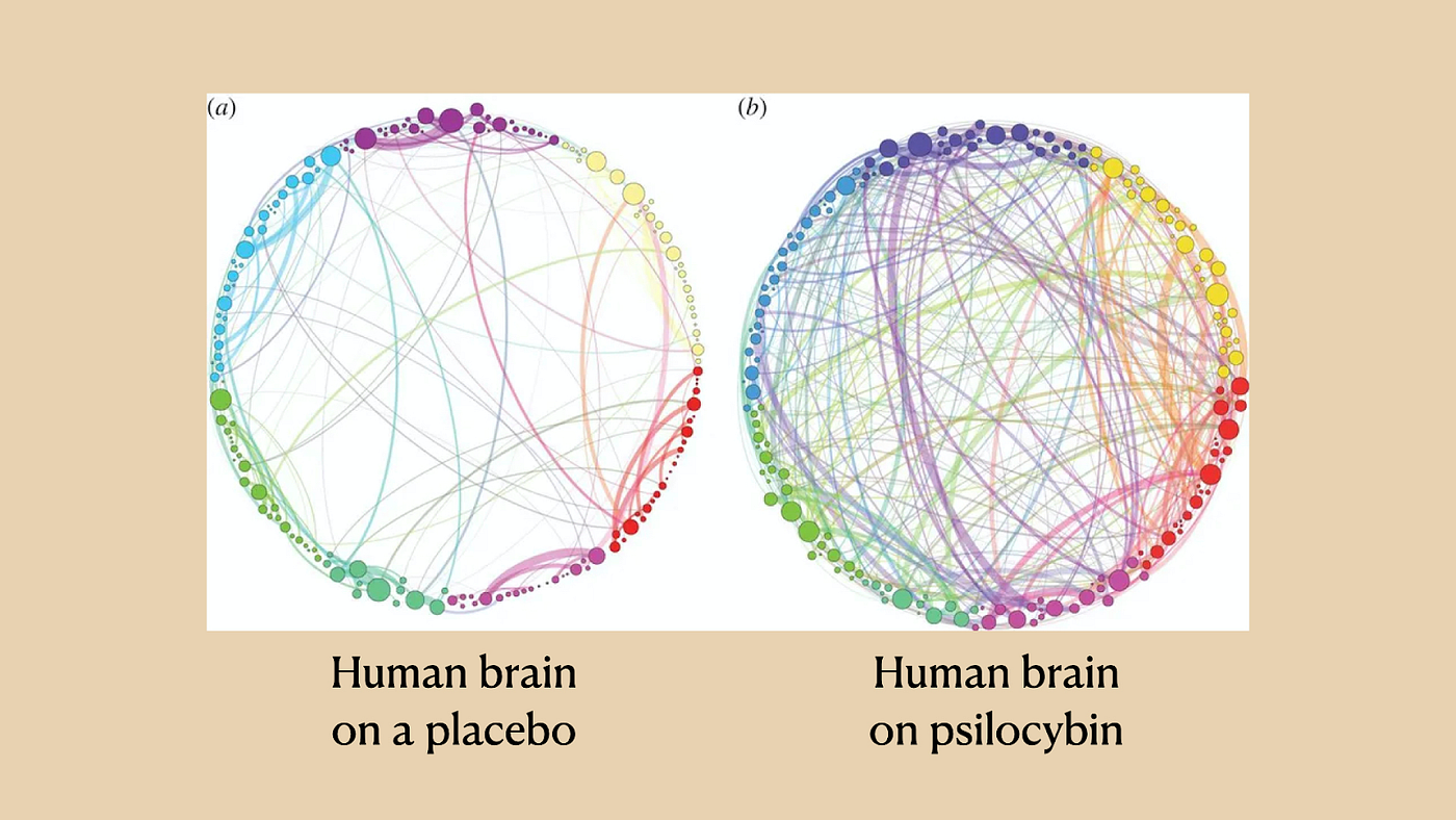 In the images above, the different colours represent different sections of the brain. On the left, the thickest lines demonstrate stronger connections within region, whereas on the right thick lines emerge between sections.