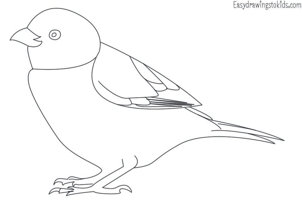 Top 21 Birds Drawings with their names (Birds coloring pages) by Artist Mind Medium