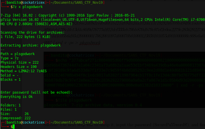Sans Community Ctf November Network Challenge Write Up By Danny Henderson Jr Medium