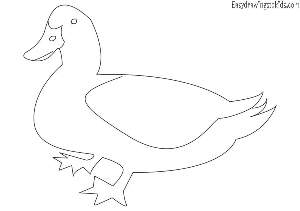Top 21 Birds Drawings with their names (Birds coloring pages) by Artist Mind Medium